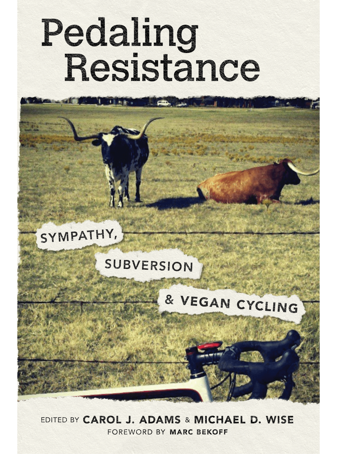 Pedaling Resistance 